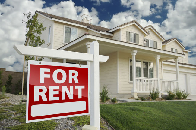 Renting a property